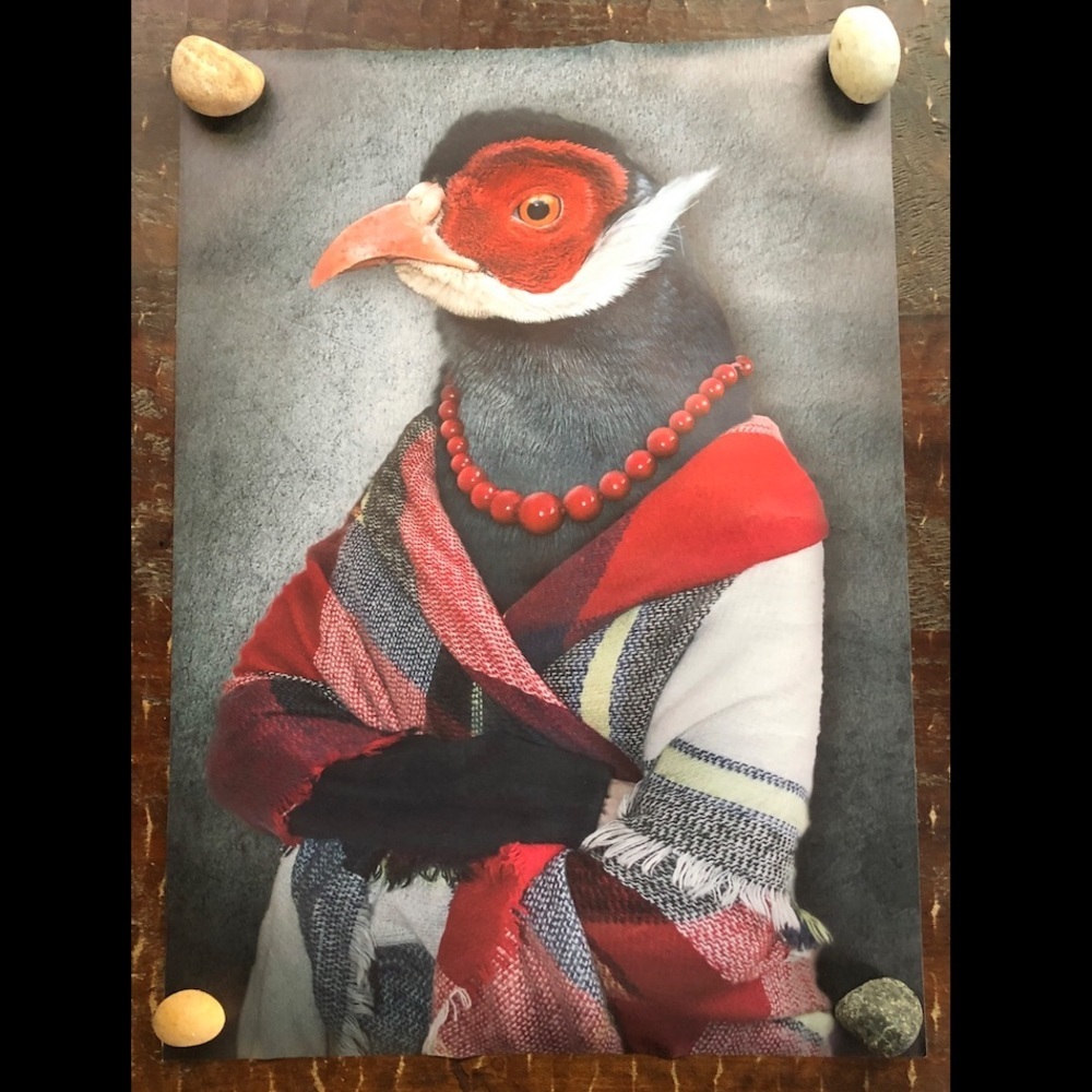 New large black bird canvas print